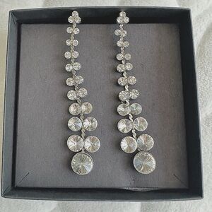 Dazzling Drop Earrings